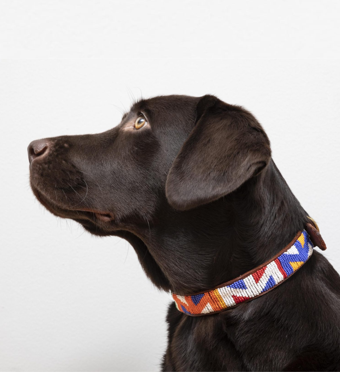 Collier Chien Masaï - Geometric M