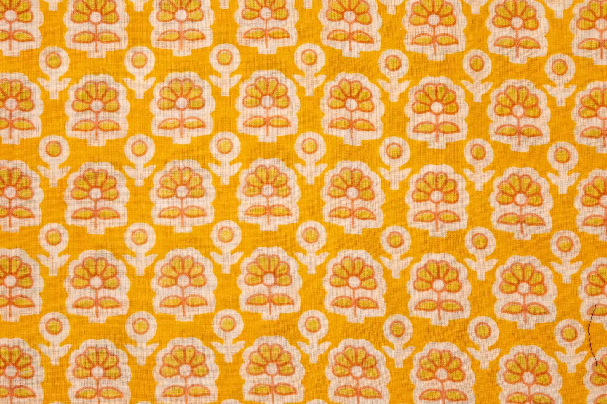 MINIROSA_Motif_4L1A9614