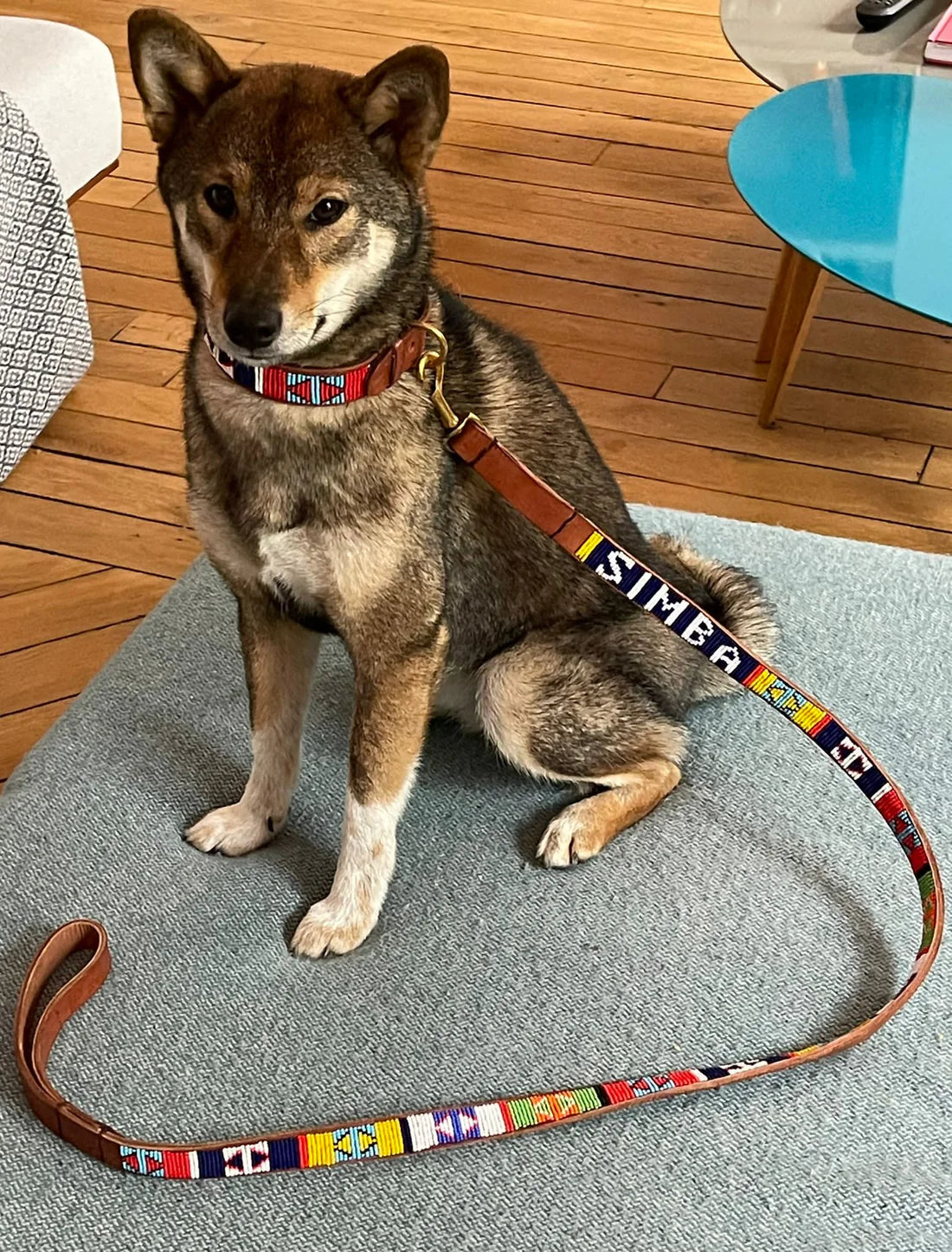 Accessoire Chien Perles et Cuir Personnalisés