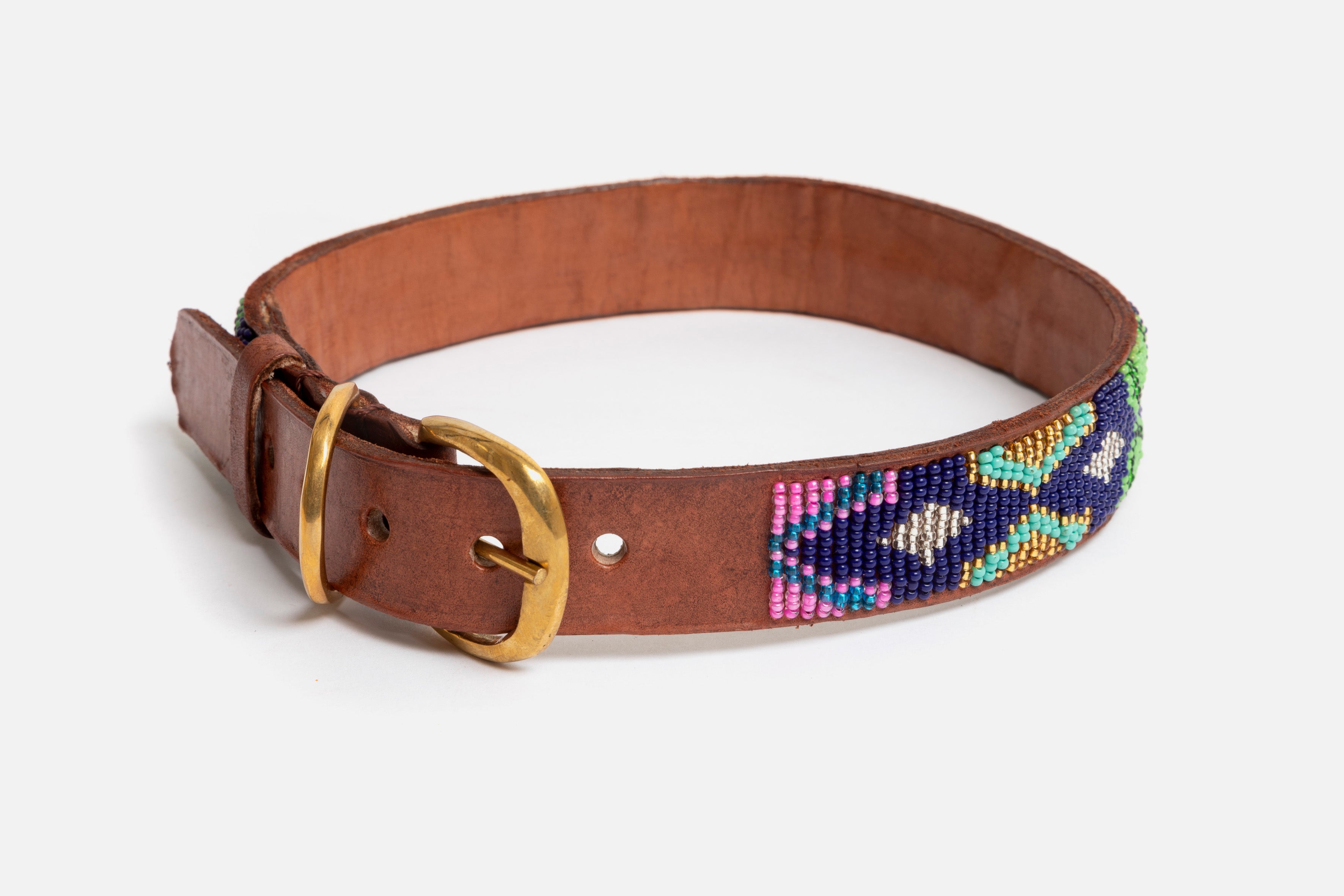Collier pour Chien Masai - Wild