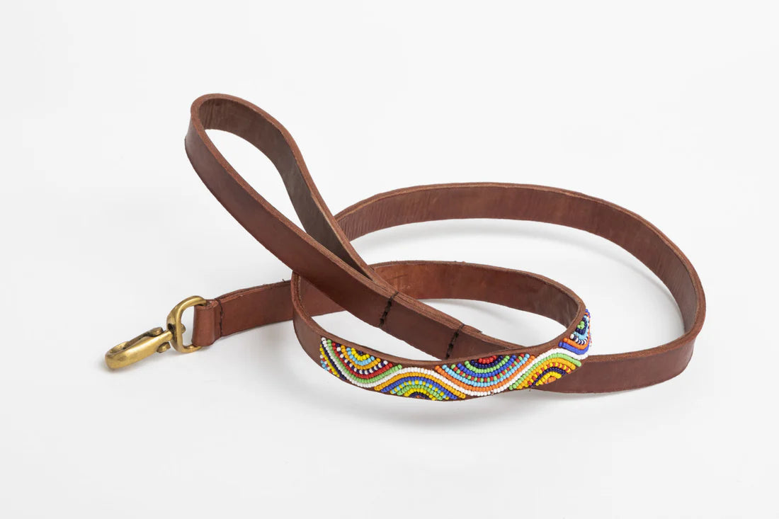 Accessoire Chien Perles et Cuir